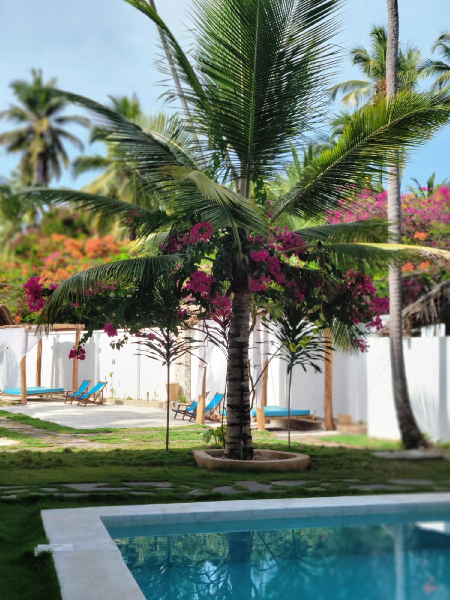 Mambo Cabana Pwani Mchangani Esterno foto